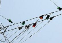 আর কত জনের মৃত্যু হলে বিদ্যুতের অবৈধ সংযোগ থাকবে না