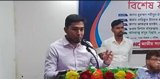 তরুণদের পাশাপাশি সাংবাদিকদেরও দেশের পরিবর্তনে বড় ভূমিকা ছিল : নয়ন