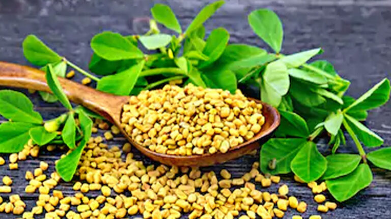 মেথি ব্যবহারে যেসব রোগের উপকার হয়