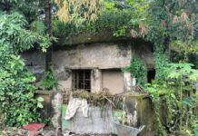 ৭টি পাম্পের মধ্যে ৫টি অচল! লালমোহন পৌরসভার পানির জন্য দুর্ভোগে নাগরিকরা