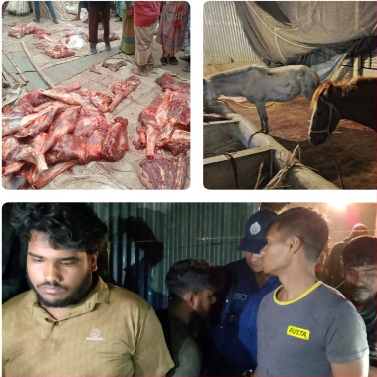 টাঙ্গাইলে ঘোড়ার মাংসকে গরুর মাংস হিসেবে বিক্রির অভিযোগে ৪ জন গ্রেপ্তার 