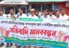লালমোহনে মেডিকেল রিপ্রেজেন্টেটিভদের মানববন্ধন