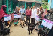 লালমোহনে দ্বীপ উন্নয়ন সোসাইটির উদ্যোগে হতদরিদ্রদের মাঝে ছাগল বিতরণ