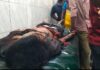 লালমোহনে কলেজ ছাত্রকে কুপিয়ে হত্যা ! থানায় আত্মসমর্পণ করল খুনি