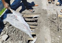 টাঙ্গাইলের বাসাইলে ব্রিজ নির্মাণে রডের পরিবর্তে বাঁশের ফালা